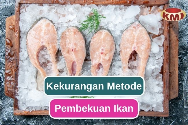 5 Kekurangan Metode Pembekuan Pada Ikan